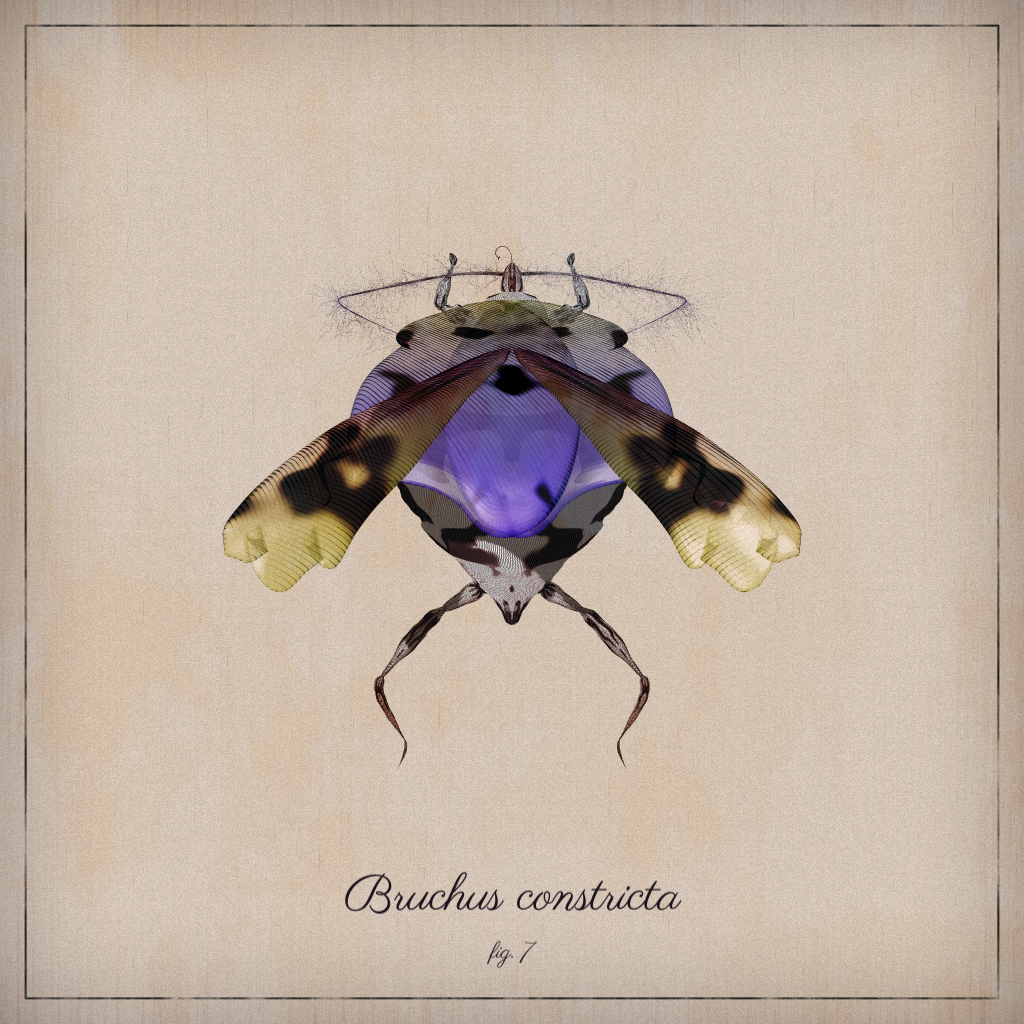 ProcGen Entomology #434 static NFT preview