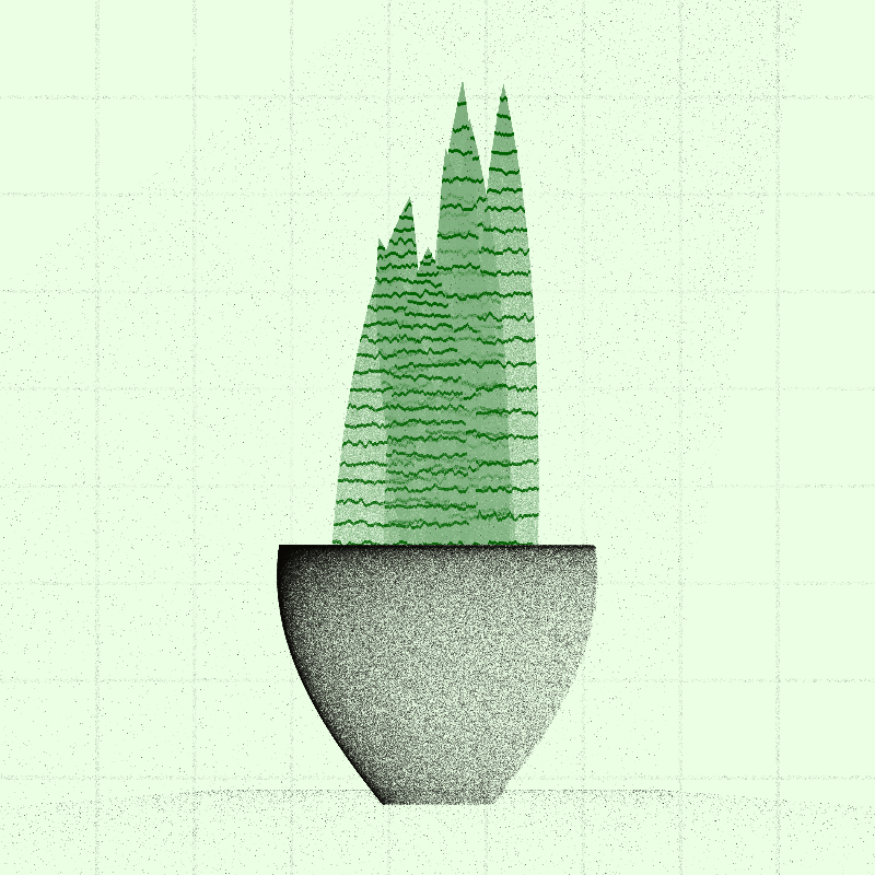 🌱 Potted & Printed #107 static token preview