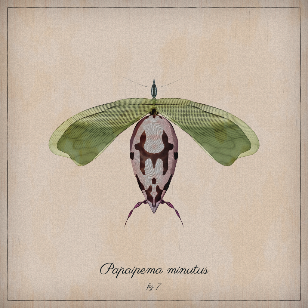 ProcGen Entomology #317 static token preview