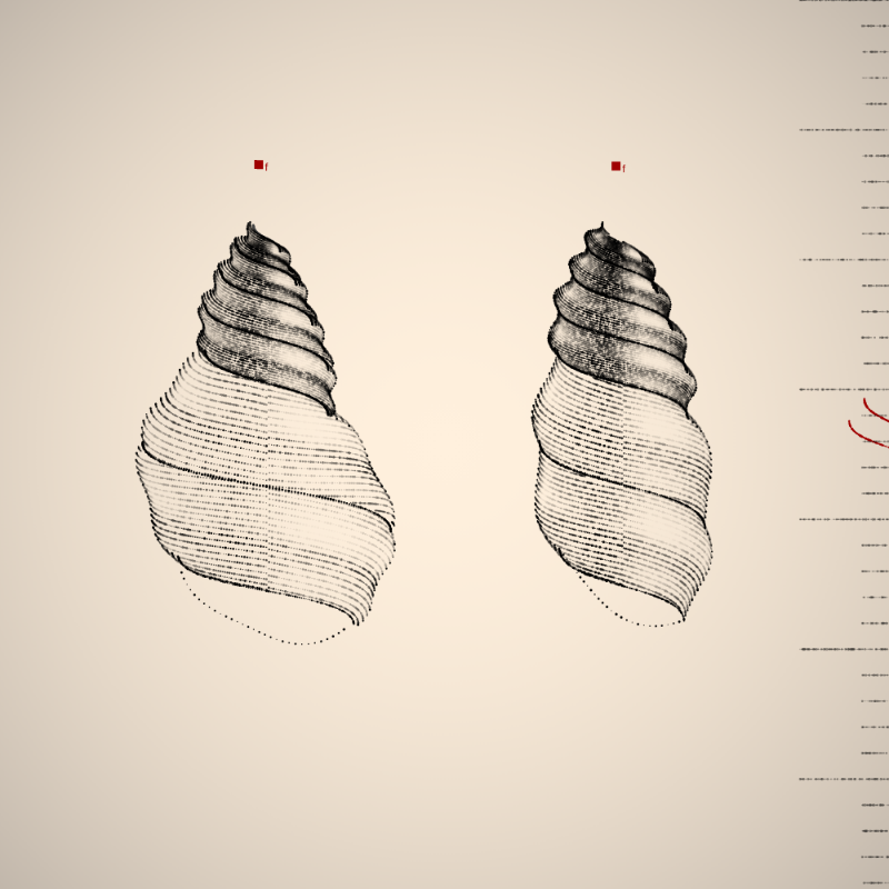 Two Specimen #467 static token preview