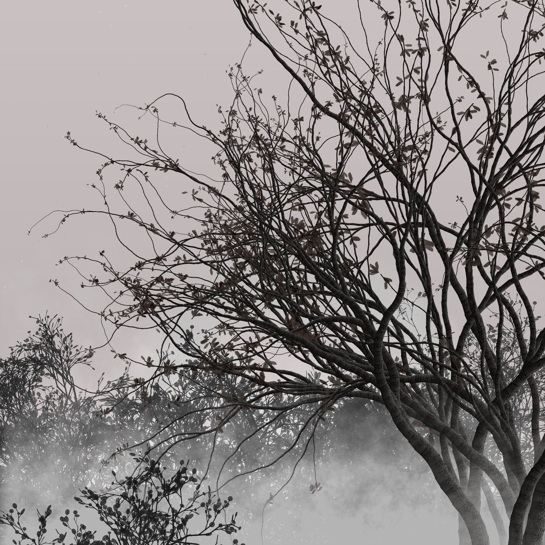 Morning Mist #21 static token preview