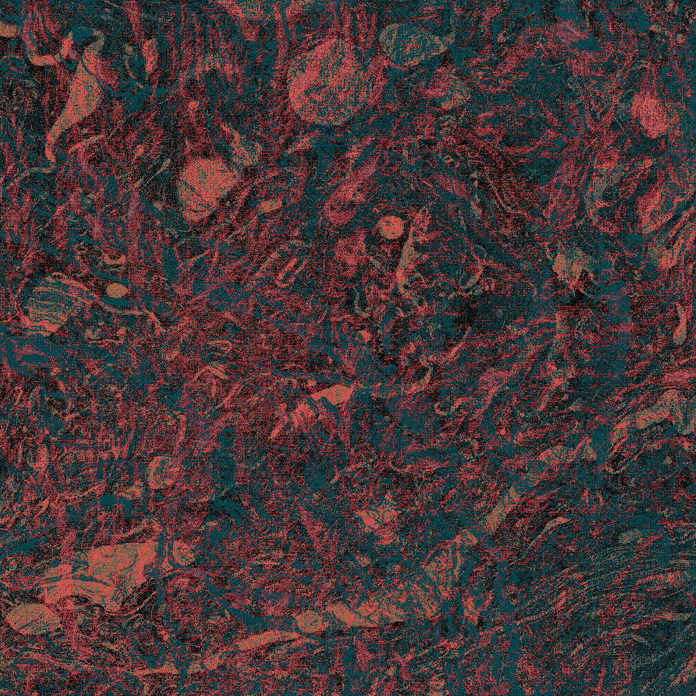 Seriscope Painting (2) #53 static token preview
