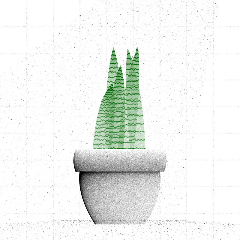 🌱 Potted & Printed #116 static NFT preview