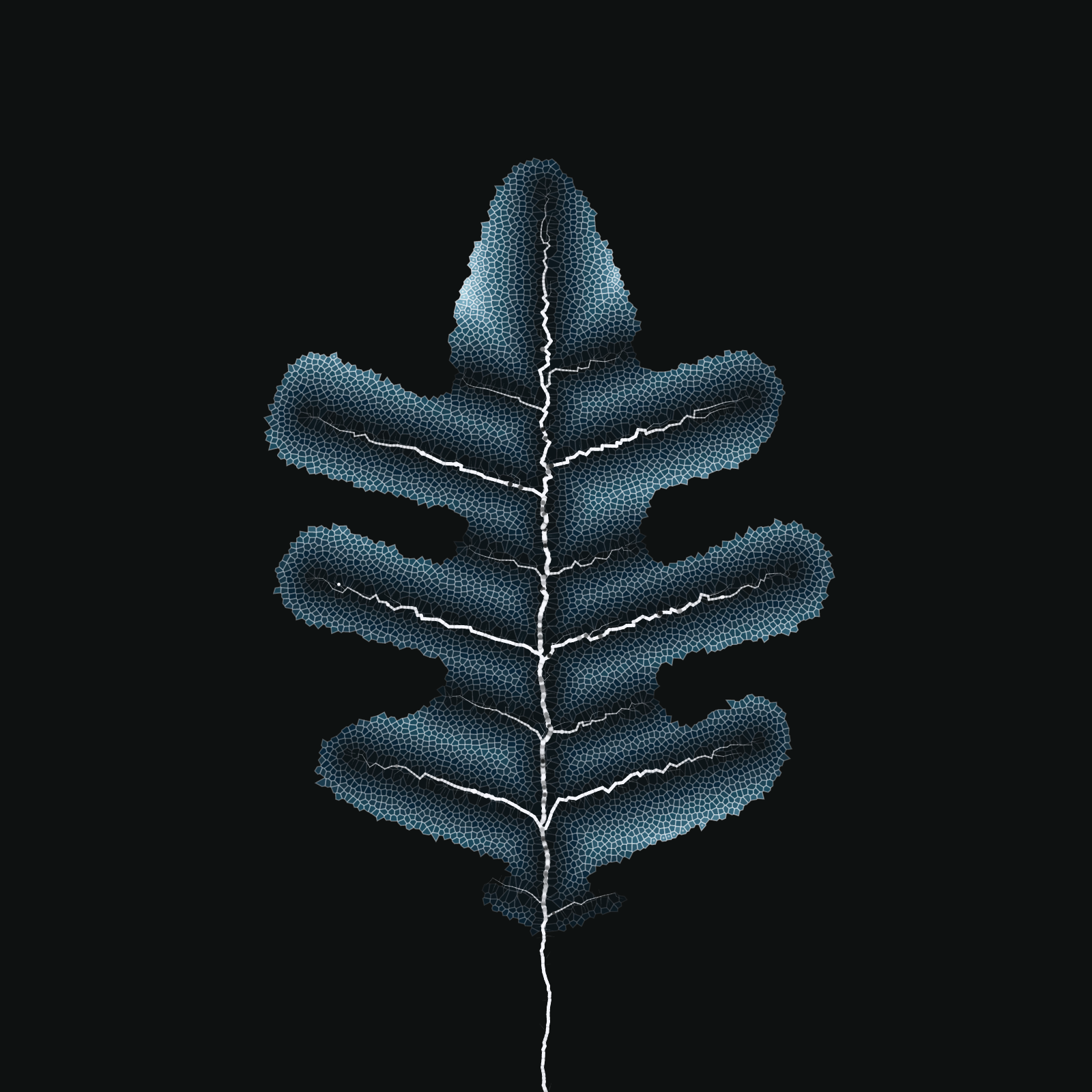 Leaf study #28 static token preview