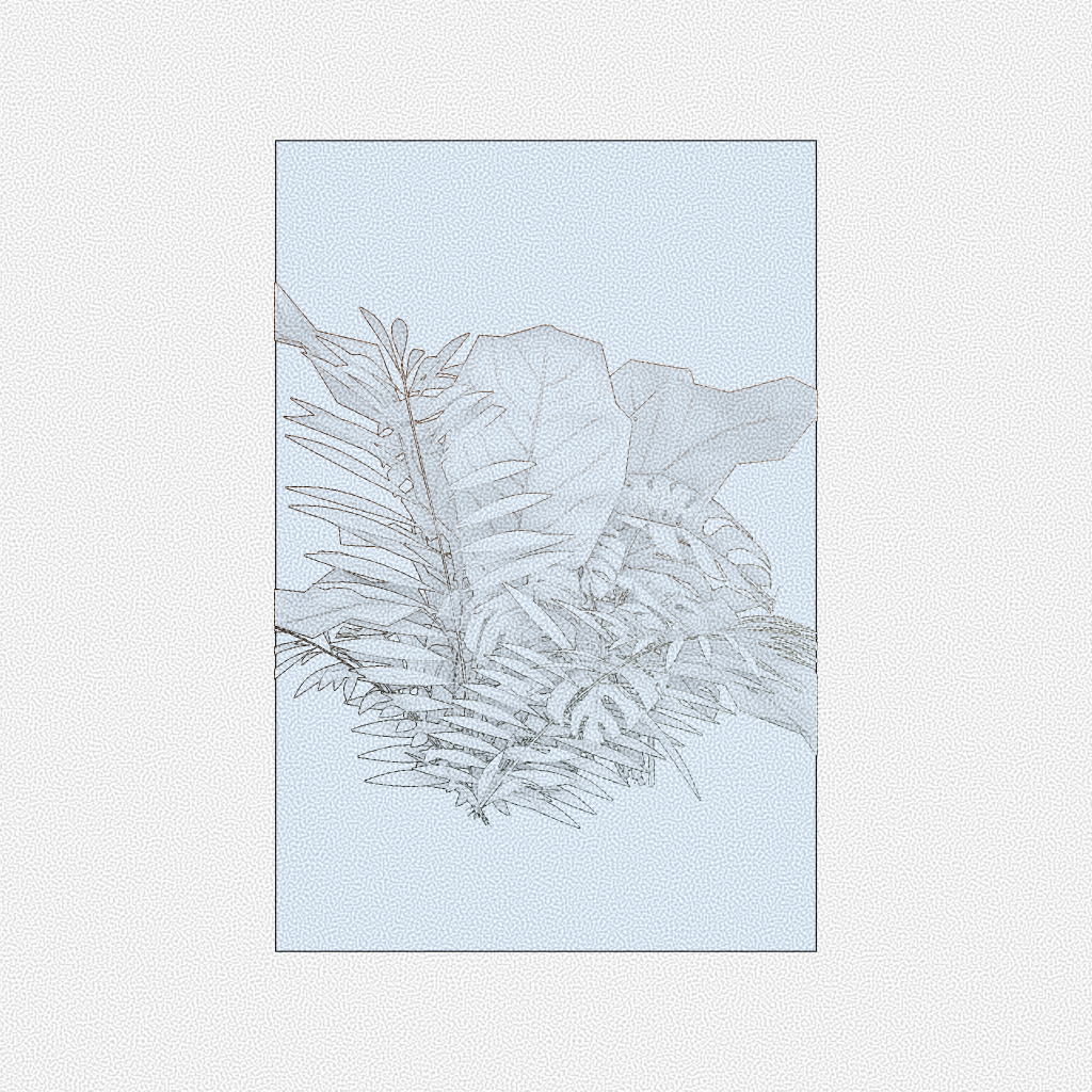 Botany #294 static token preview