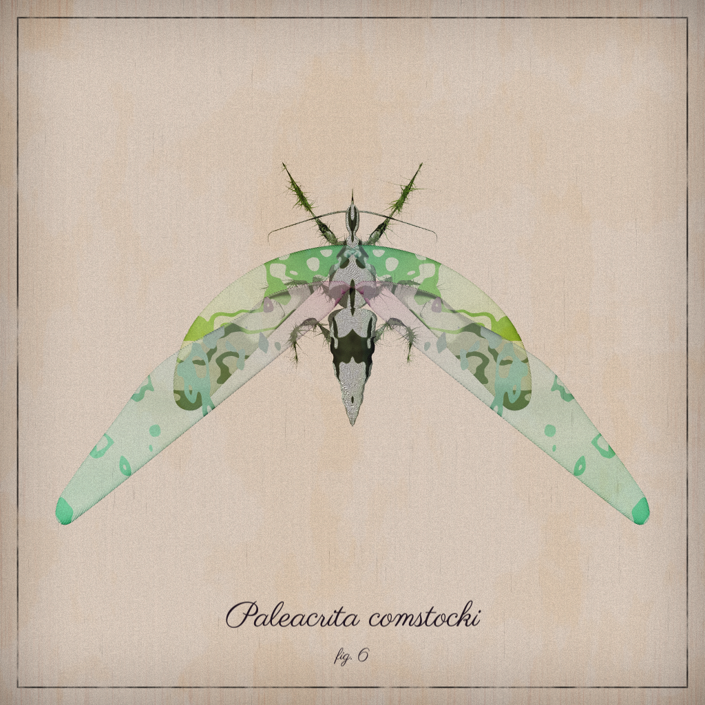ProcGen Entomology #430 static NFT preview