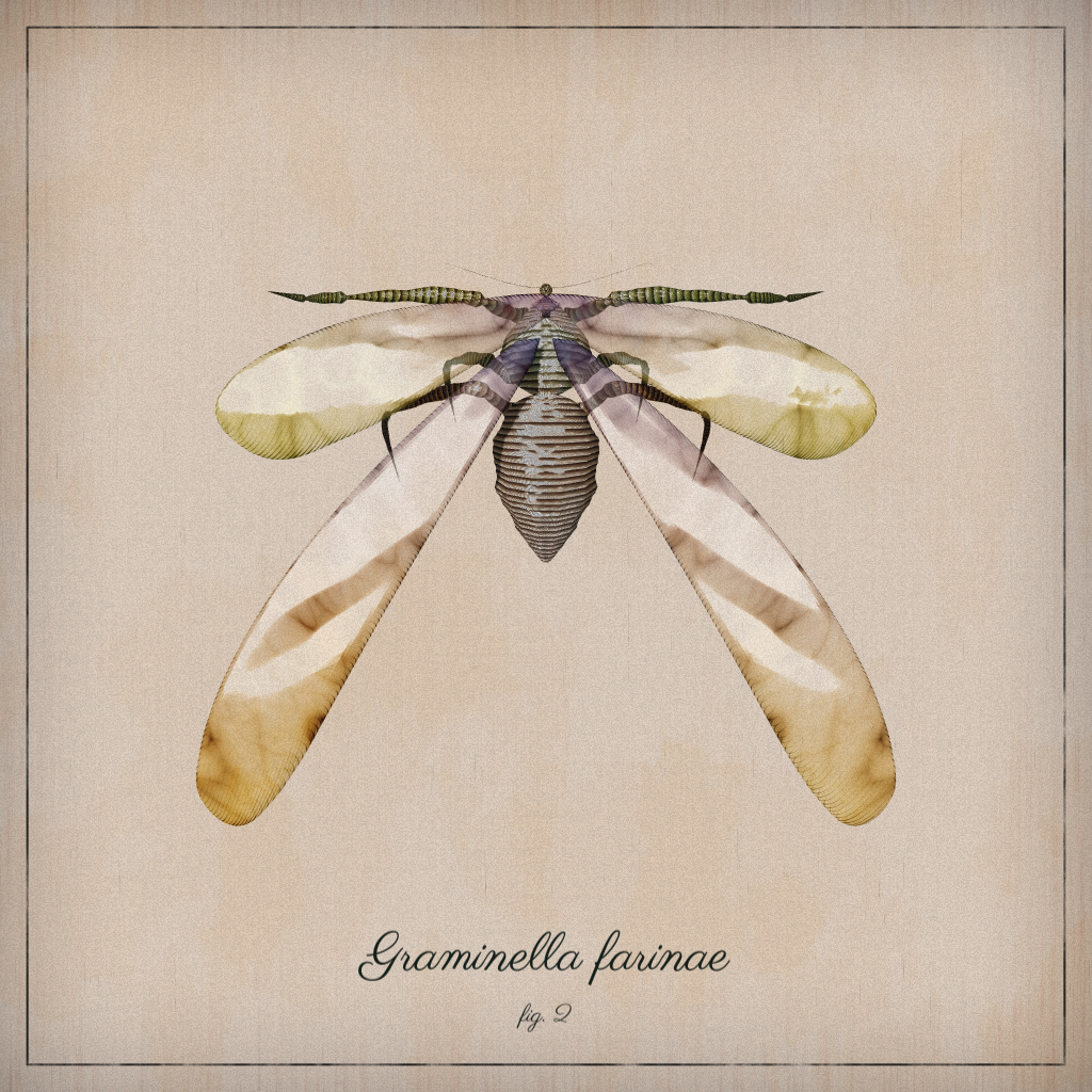 ProcGen Entomology #283 static NFT preview