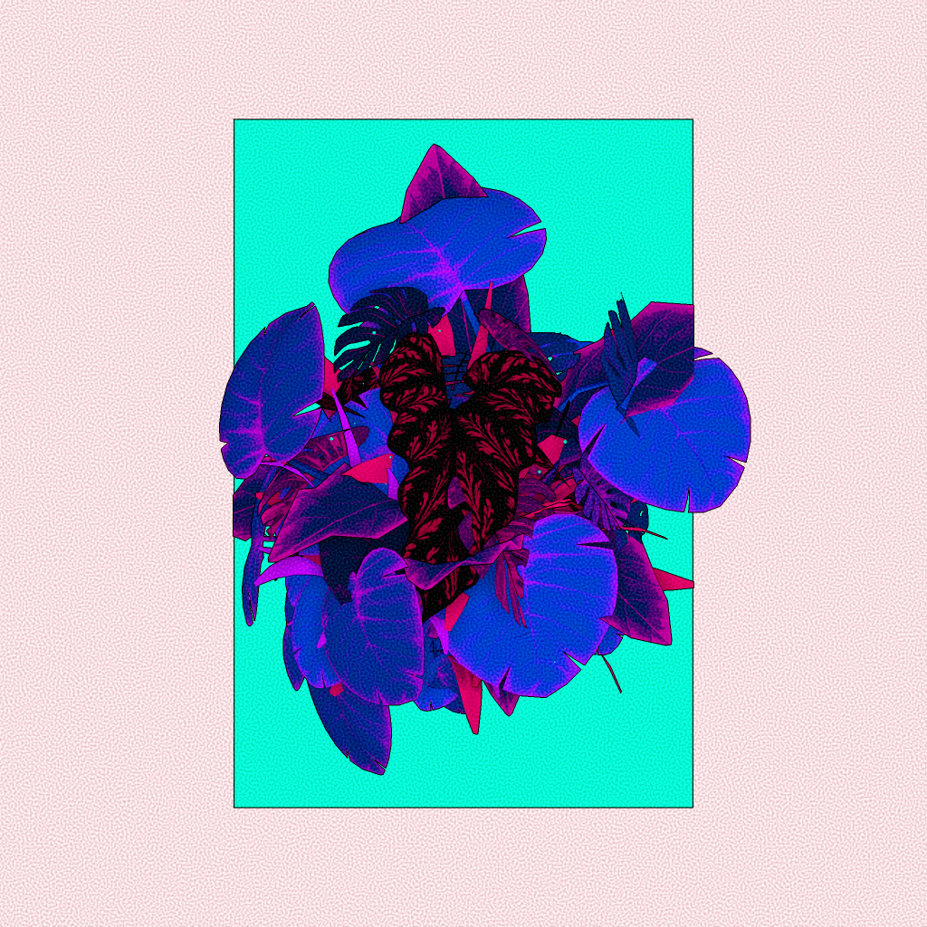 Botany #52 static token preview