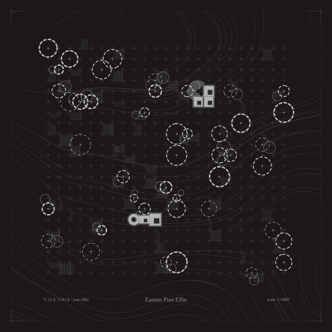 Maps of Life #80 static token preview