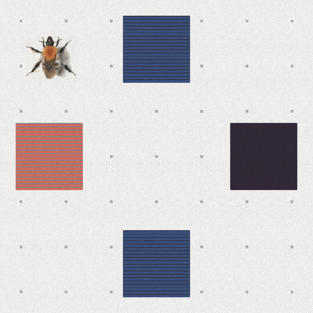 Bee #55 static NFT preview