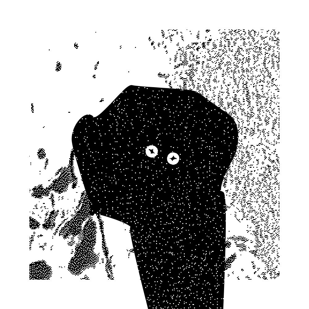 Missingno #132 static token preview