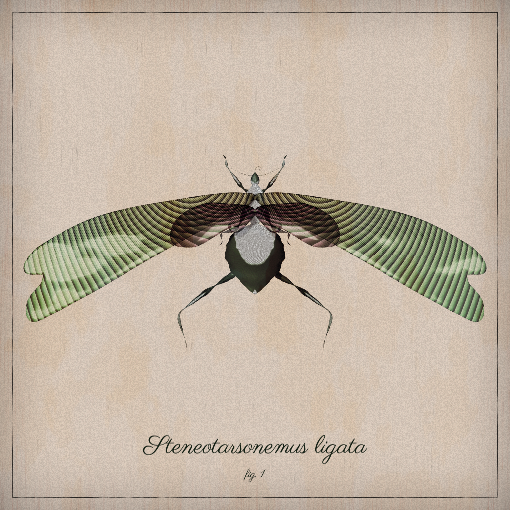 ProcGen Entomology #420 static NFT preview