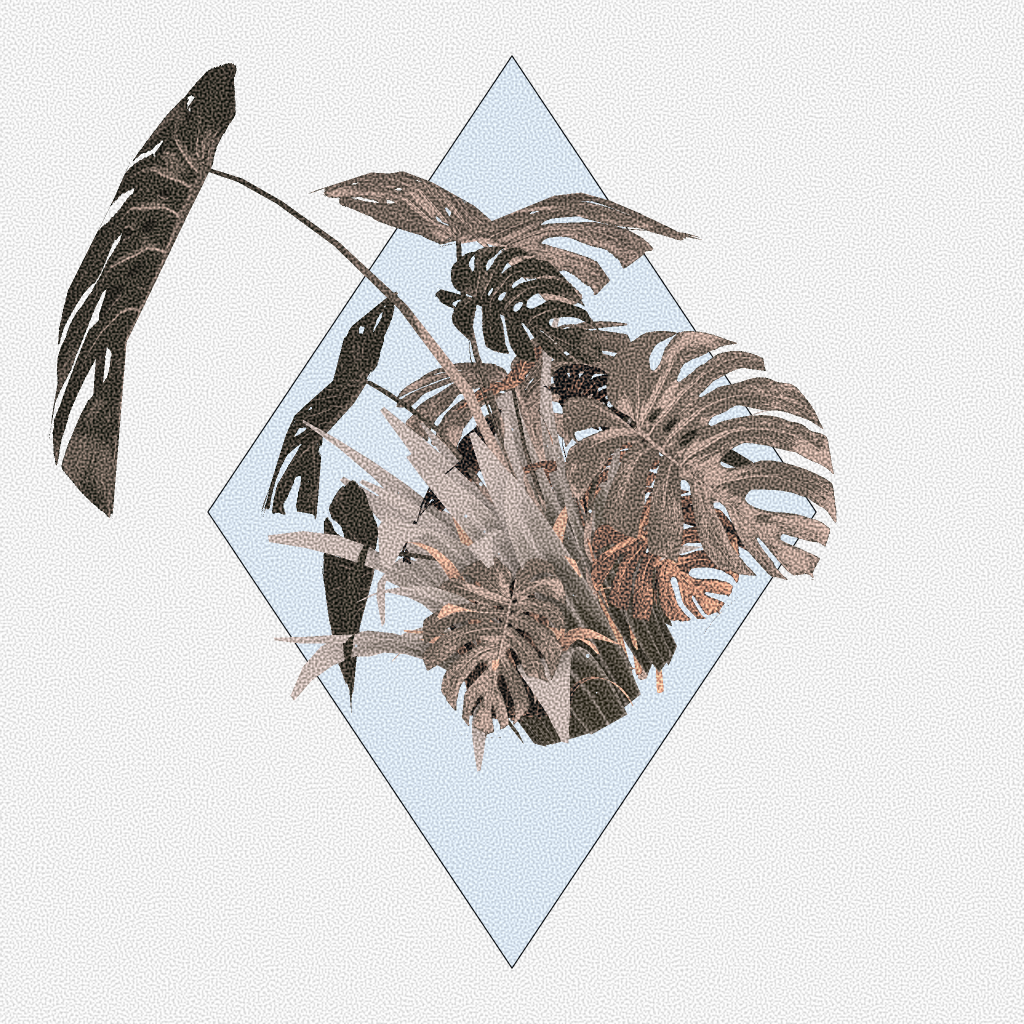 Botany #60 static token preview