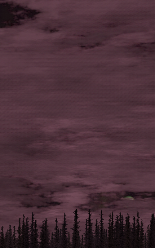 Secunda #95 static NFT preview