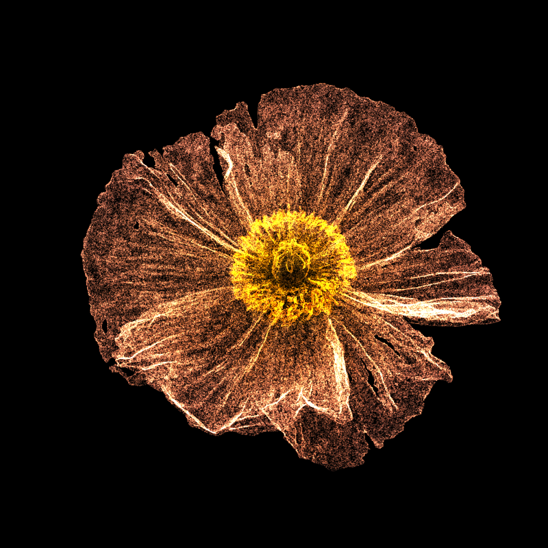 White Poppy 30 #205 static token preview