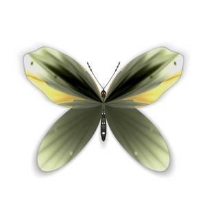Vlinder II project preview