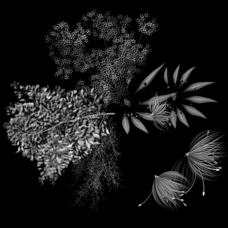 Botanical Ghosts #93 static NFT preview