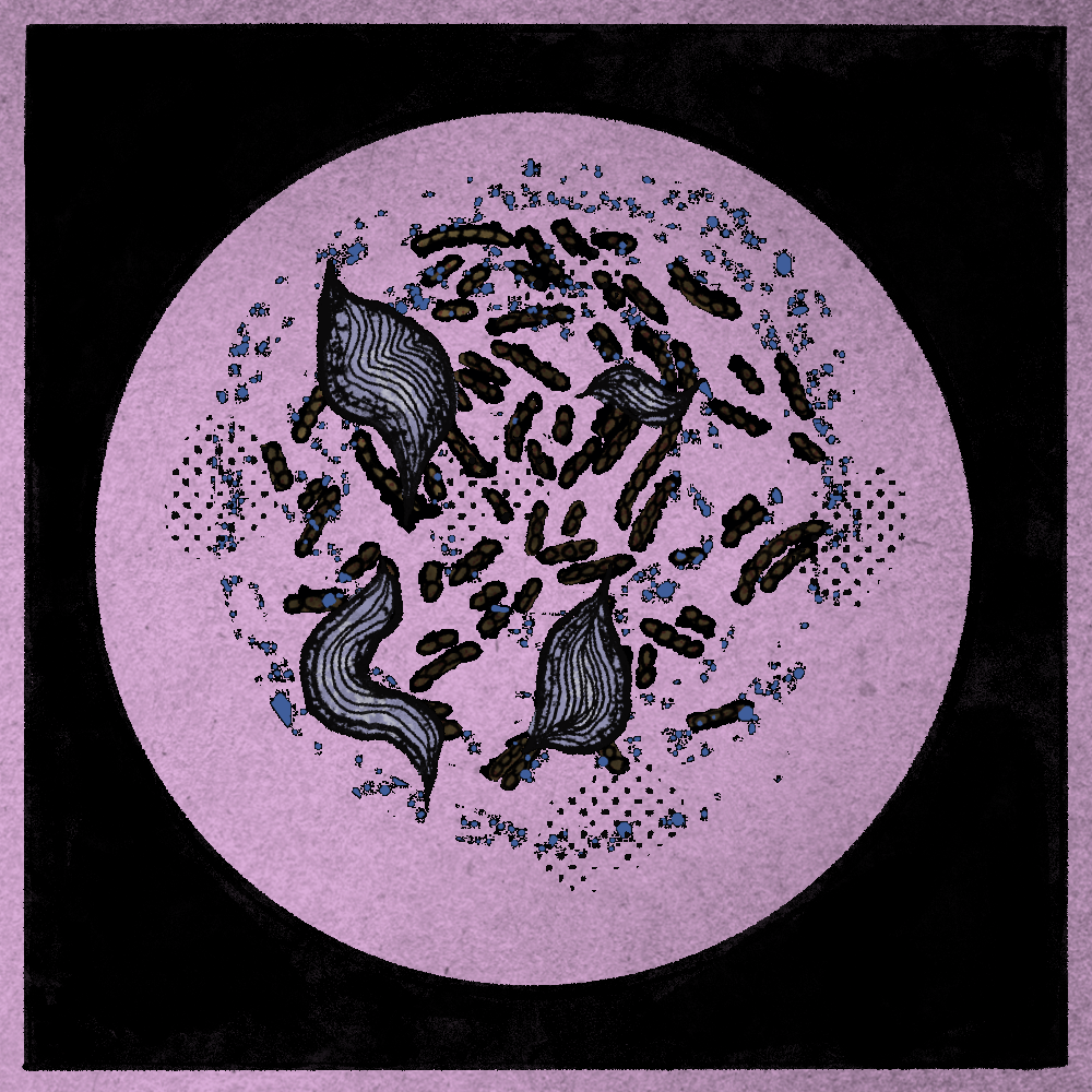 Microbes #151 static token preview