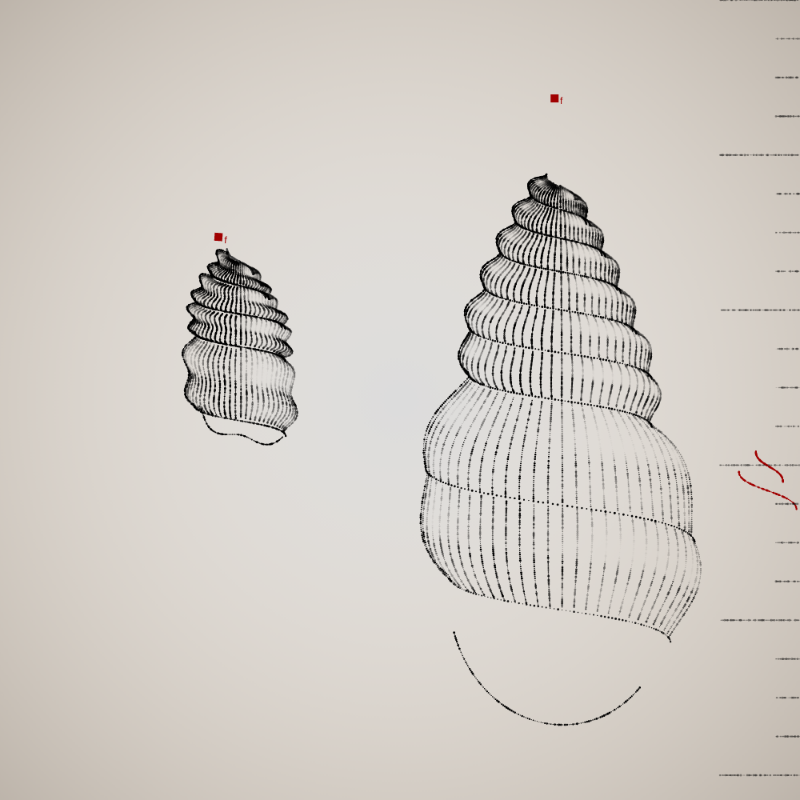 Two Specimen #346 static NFT preview