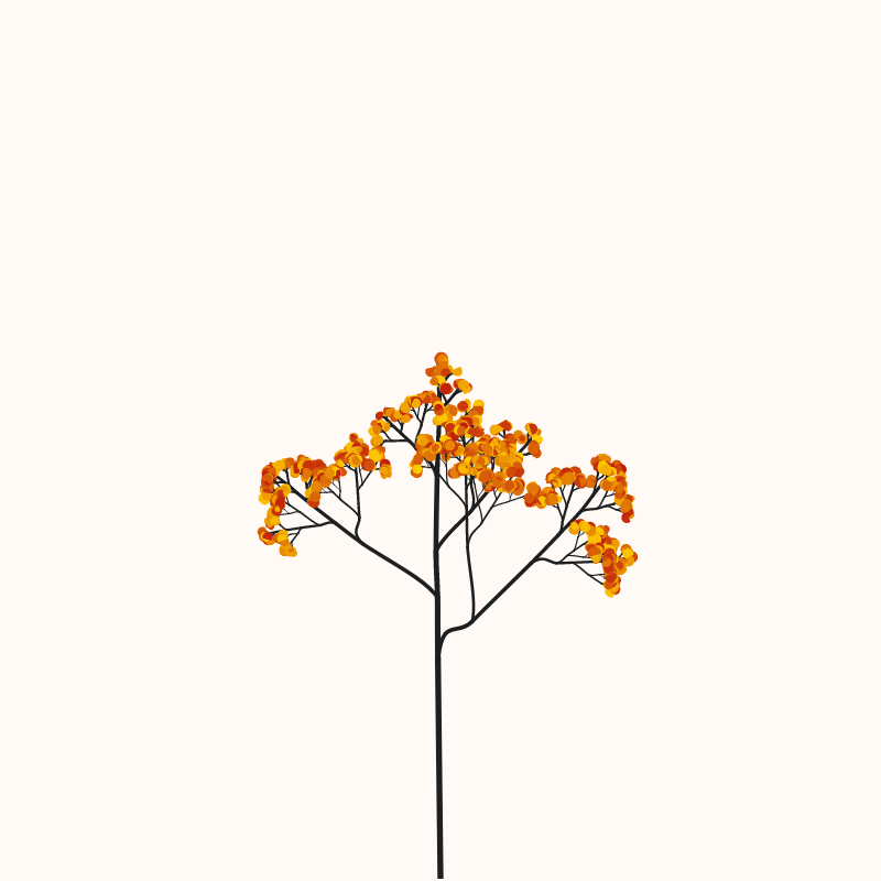 Arbour #43 static NFT preview