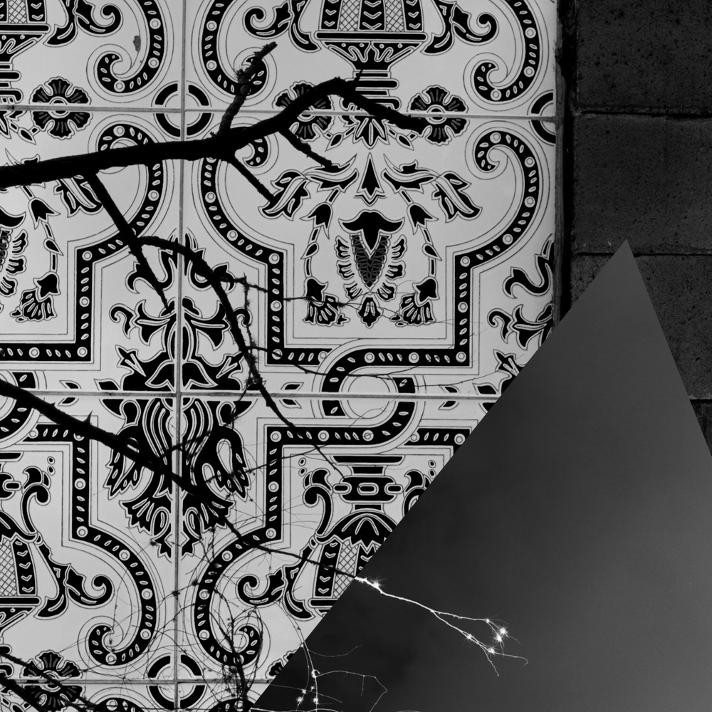 Subjective photography #1 #19 static token preview