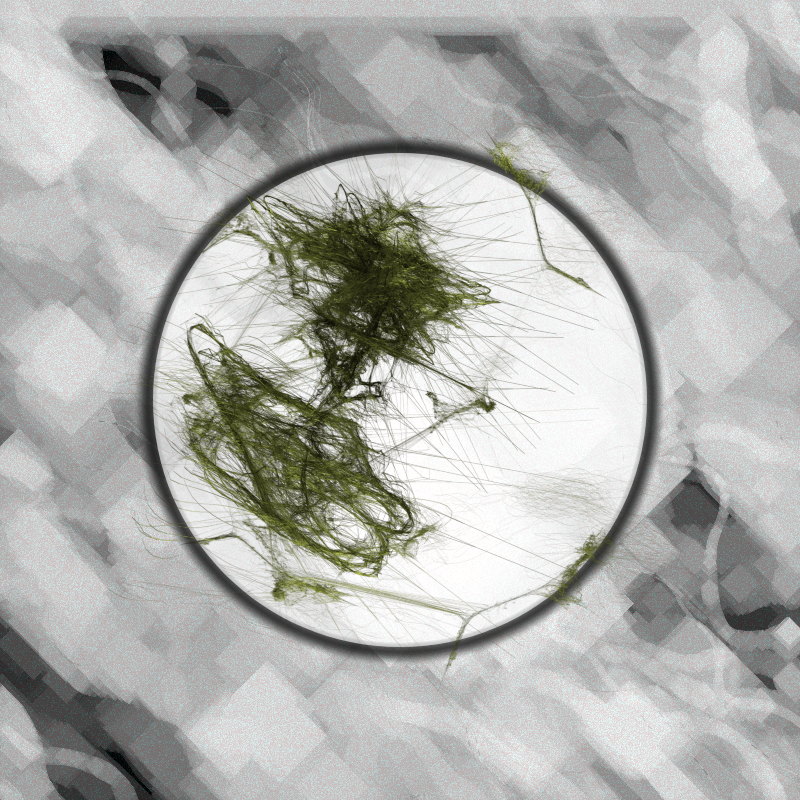 Herbarium Invaders #193 static token preview