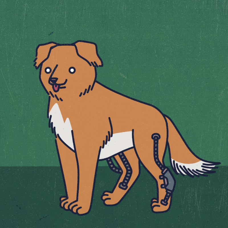 future_dogs #163 static token preview