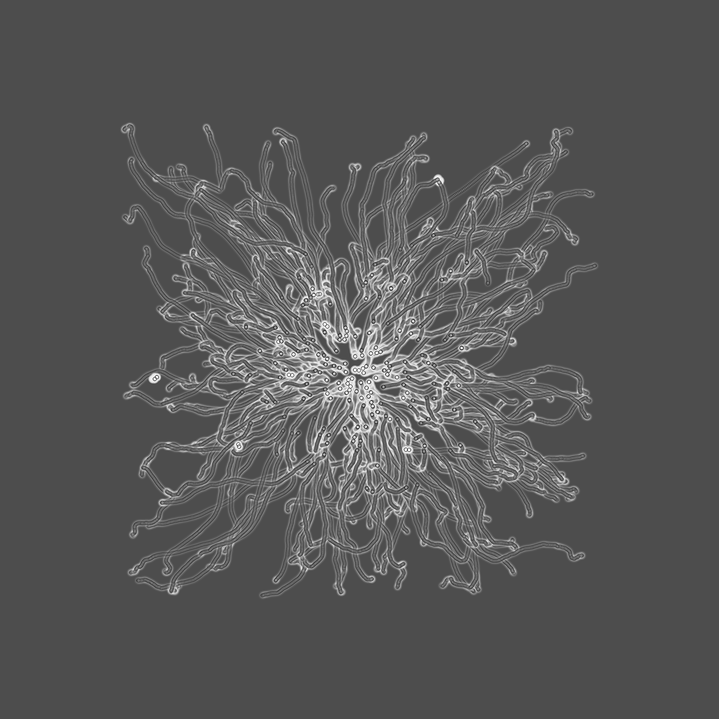 grey fungi wisdom #129 static token preview