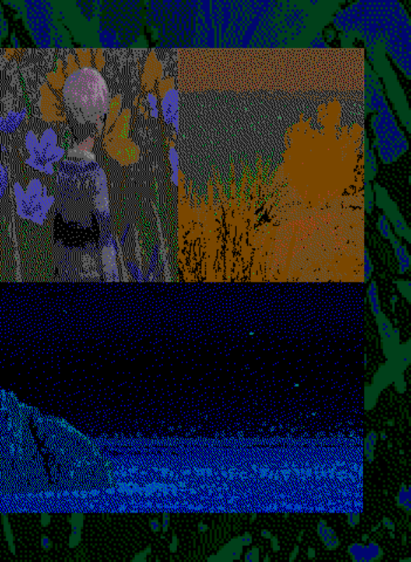 Pages #36 static NFT preview