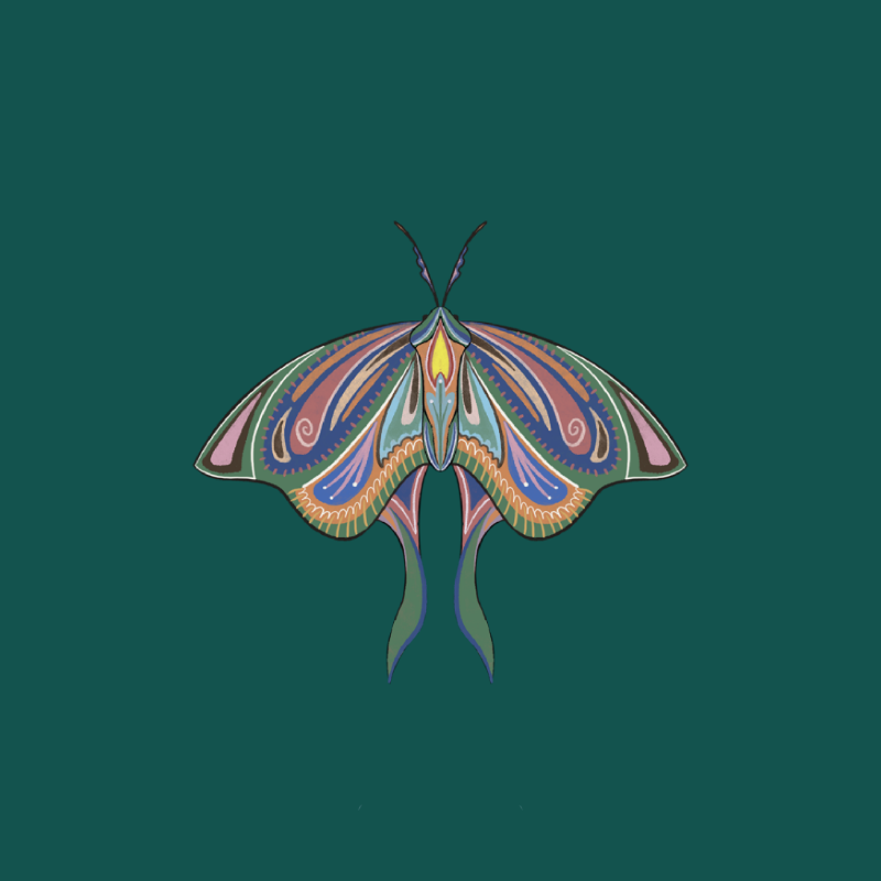 The Moth Experiment 2.0 P1 #30 static NFT preview