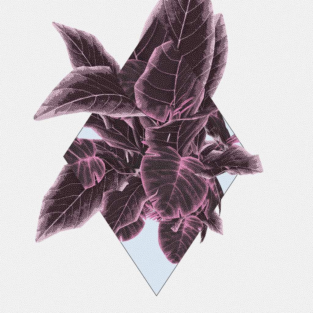 Botany #193 static NFT preview