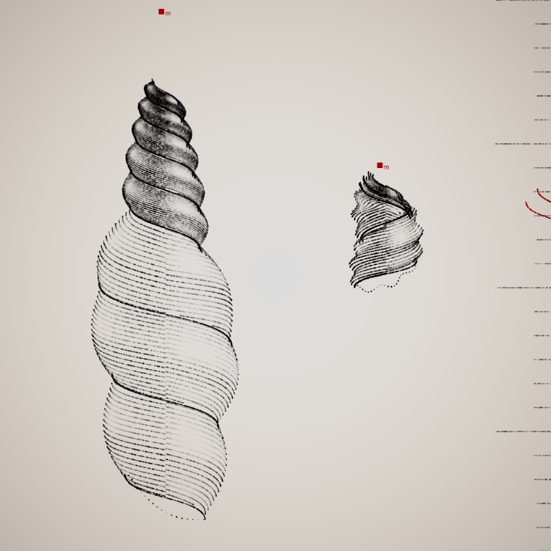 Two Specimen #124 static token preview