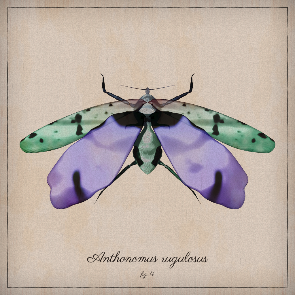ProcGen Entomology #467 static NFT preview