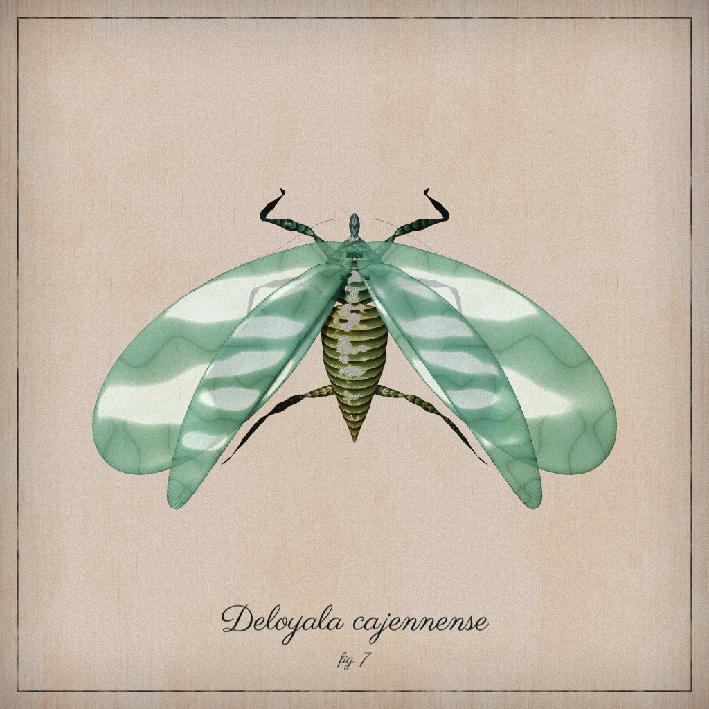ProcGen Entomology #492 static NFT preview