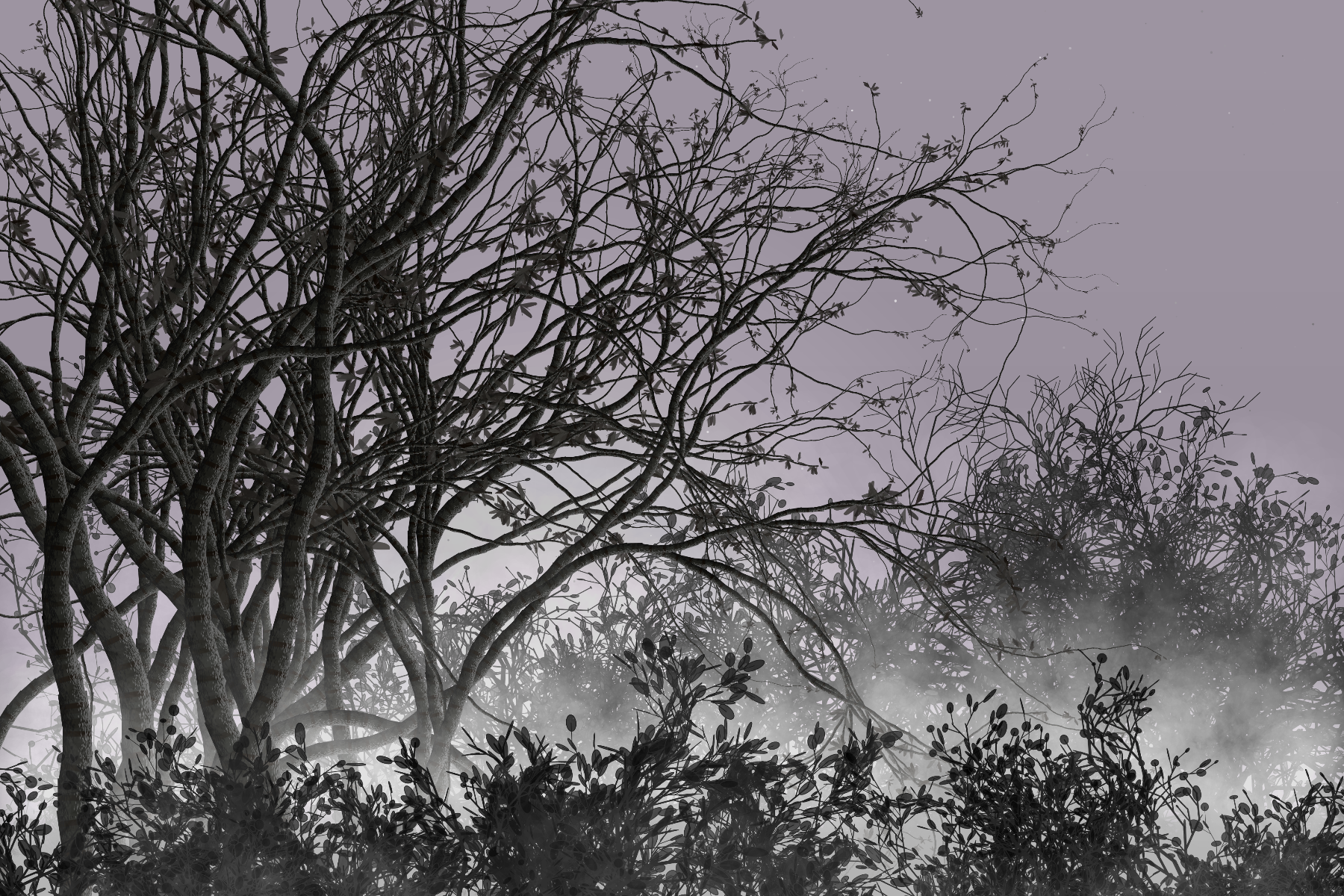 Morning Mist #59 static token preview