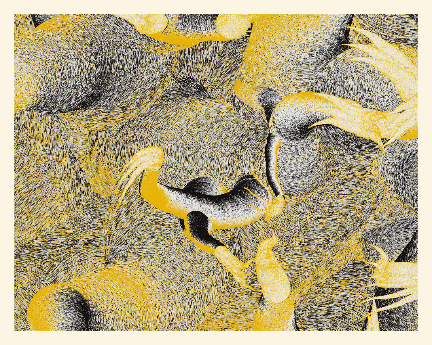 Aliciidae #121 static NFT preview