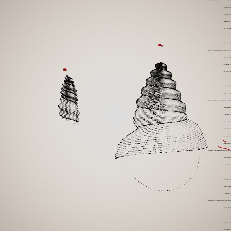 Two Specimen #269 static NFT preview