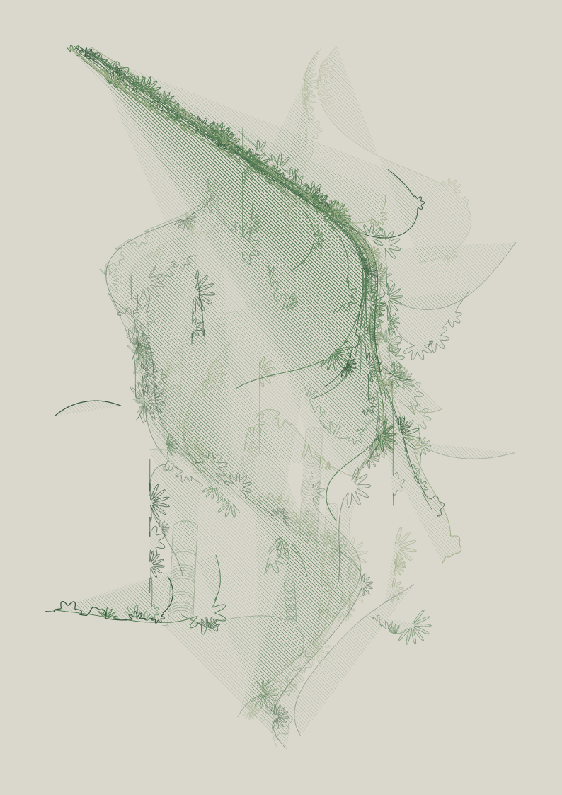 One hundred views of a curve #108 static NFT preview