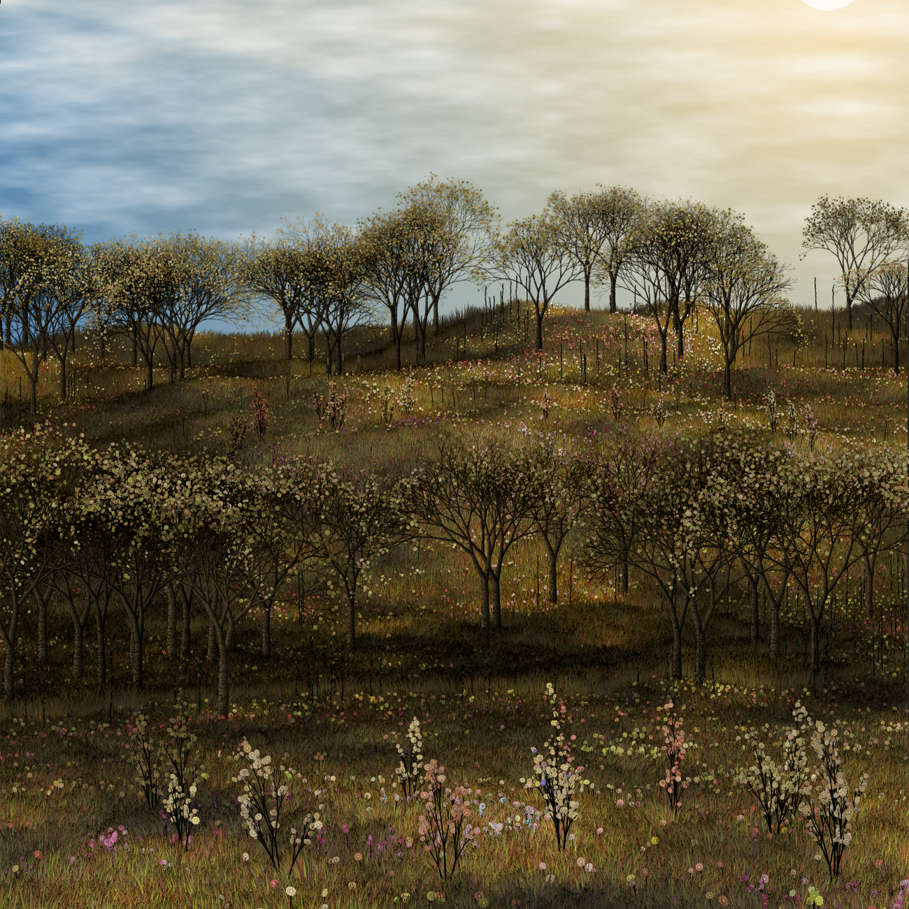Mediterranean #163 static NFT preview