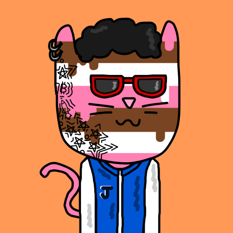 Janky Cats FX #69 static NFT preview