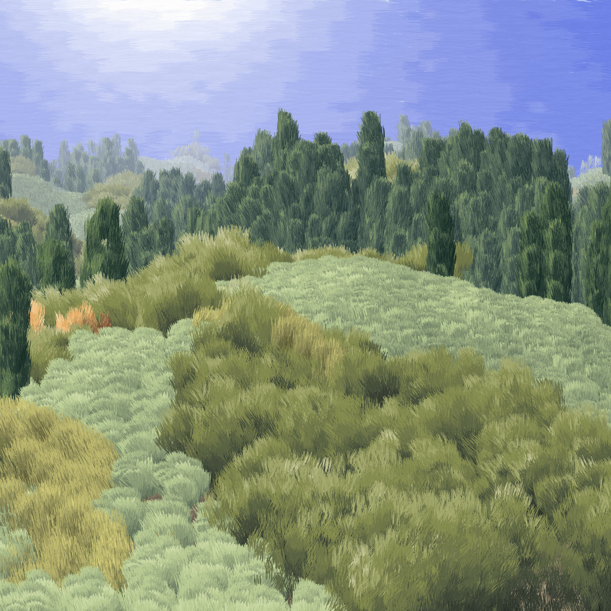 Provence #80 static token preview