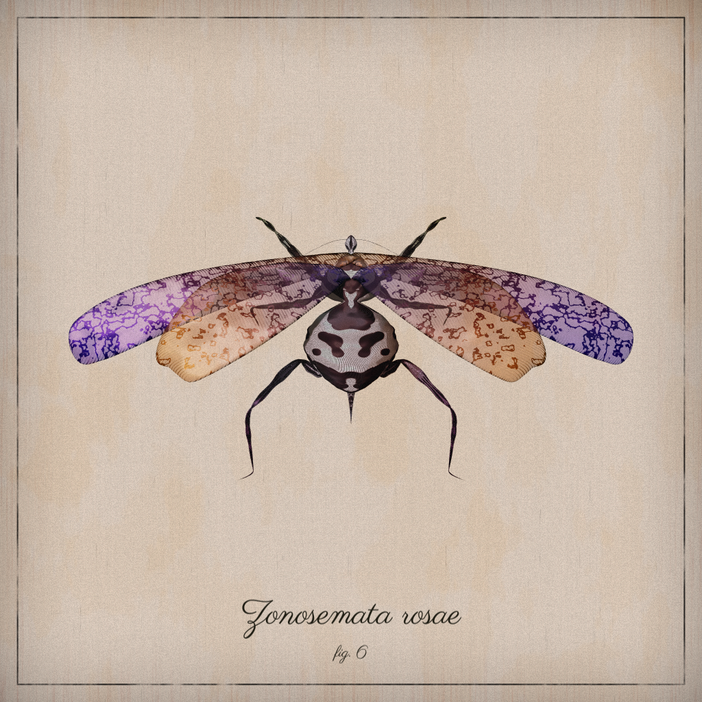 ProcGen Entomology #41 static NFT preview