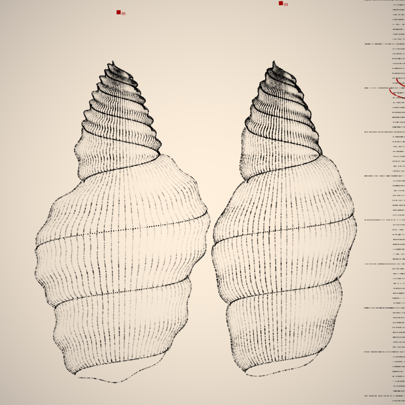 Two Specimen #268 static NFT preview