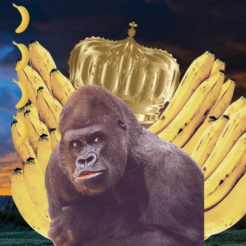 Banana gods #18 static token preview