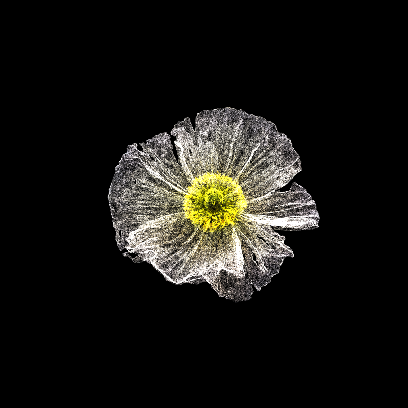 White Poppy 30 #77 static token preview
