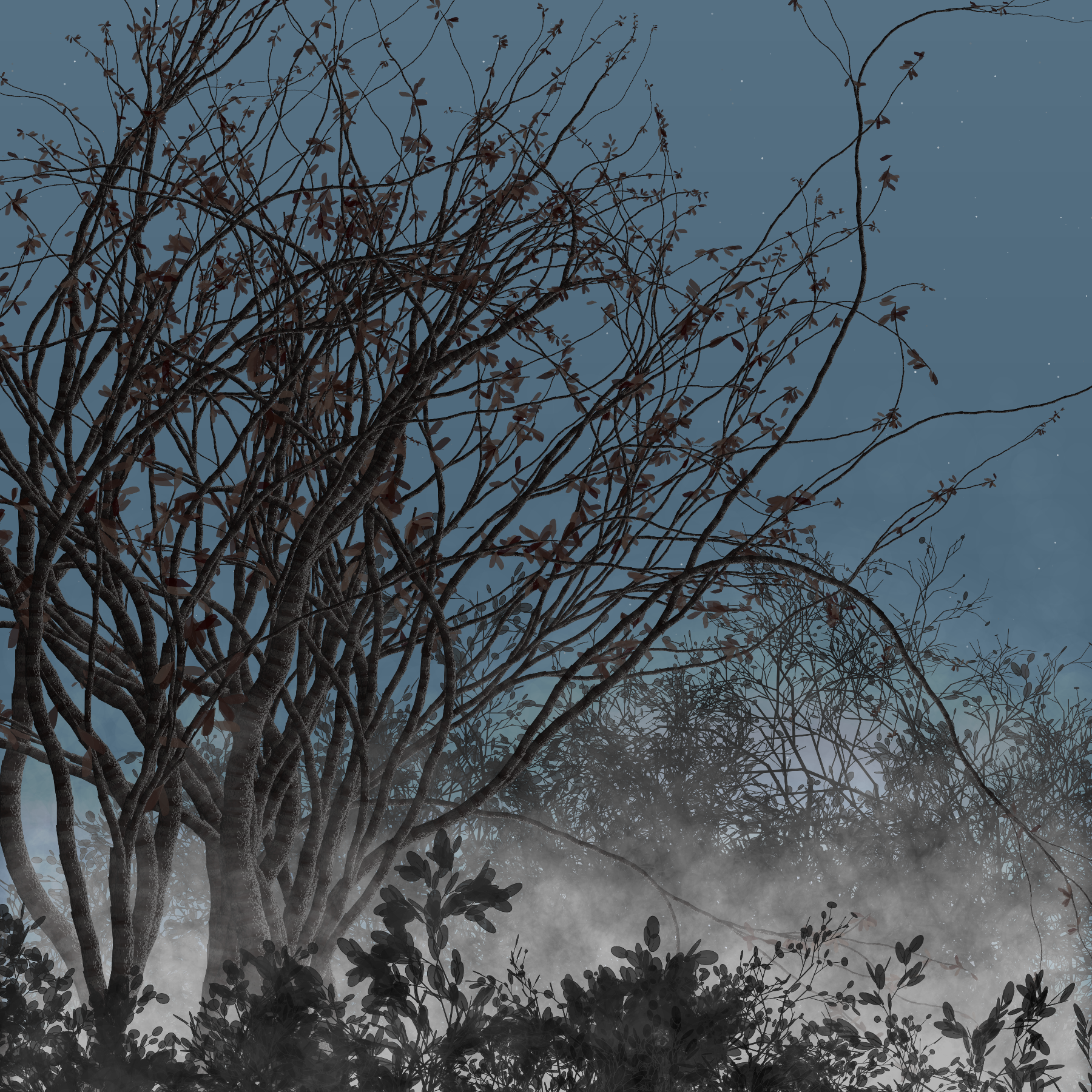 Morning Mist #325 static token preview