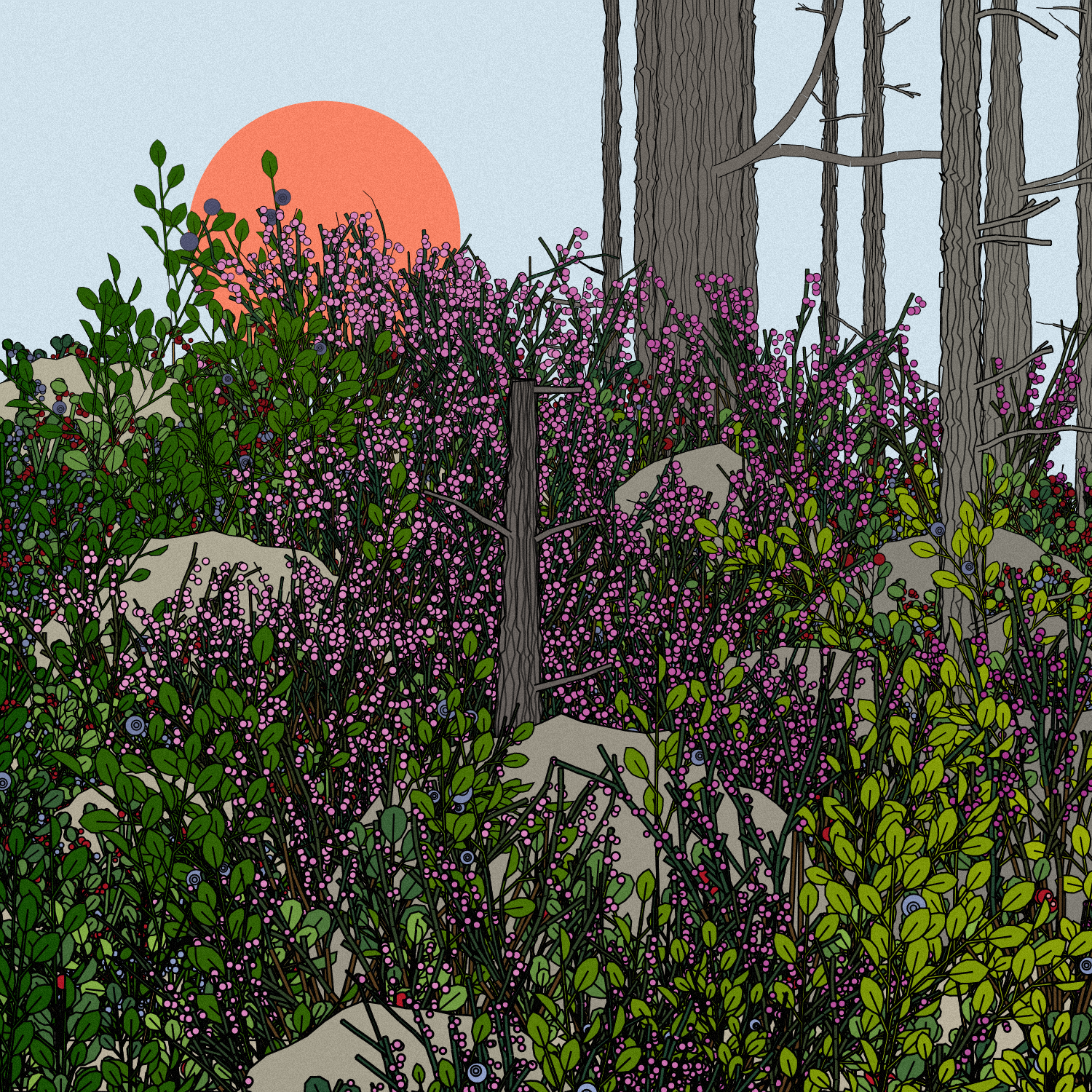 Swedish Forest #124 static token preview
