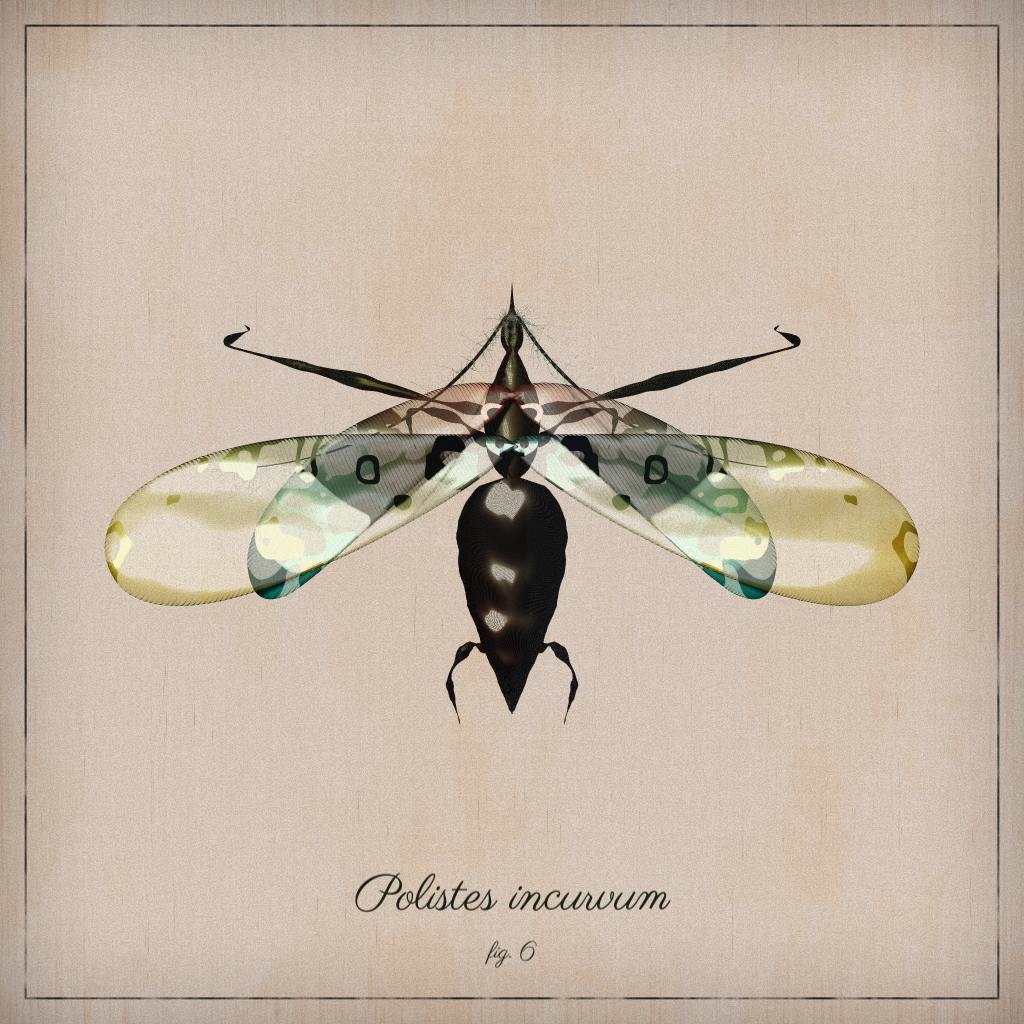ProcGen Entomology #135 static NFT preview