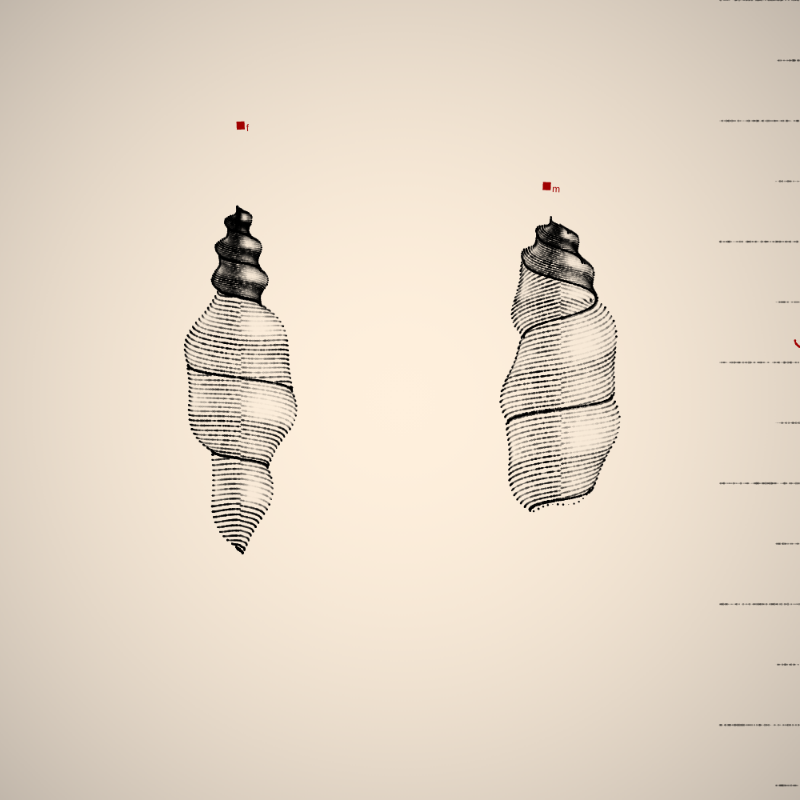 Two Specimen #199 static token preview