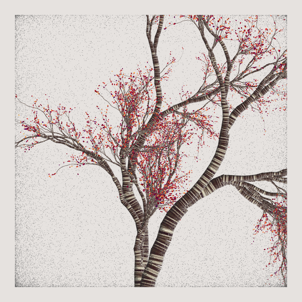 Bougainvillea #220 static NFT preview